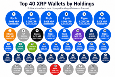 55.84 Billion XRP Appears Across the Top 40 Wallets, but Escrow Changes the Picture