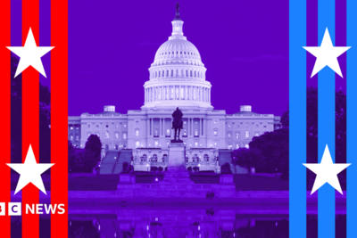 A simple guide to the US midterms
