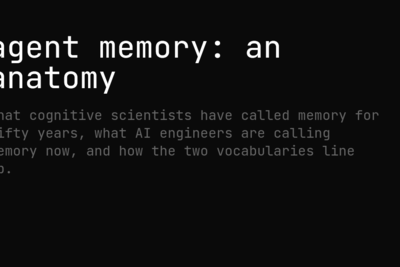 Agent Memory: An Anatomy