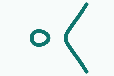 An elliptic curve of rank ≥ 30