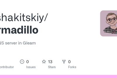Armadillo – A DNS Server in Gleam for Homelab Use