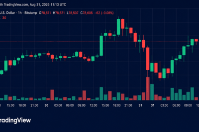 Bitcoin Price Battles Back From $77K as Bulls Eye $80K Breakout