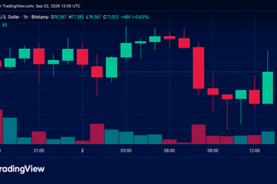 Bitcoin Price Gets Squeezed Below $78K as Bulls Defend the Floor