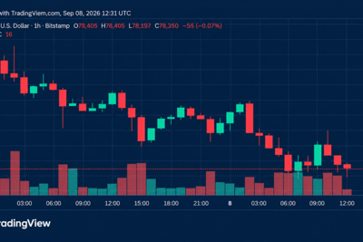 Bitcoin Price Loses Steam as Bears Circle Critical $78K Floor
