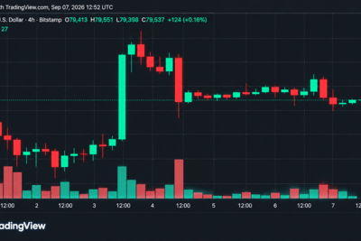 Bitcoin Price Rejected at $80.5K as Bulls Scramble to Defend $79K