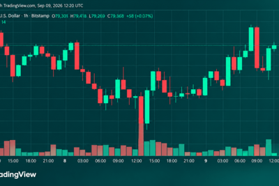 Bitcoin Price Roars Back From $77,603 as Bulls Eye $80,000