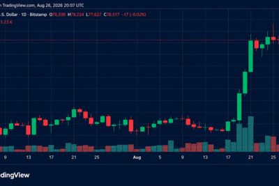 Bitcoin Price Slams Into $79K Wall as Rally Momentum Starts Fading