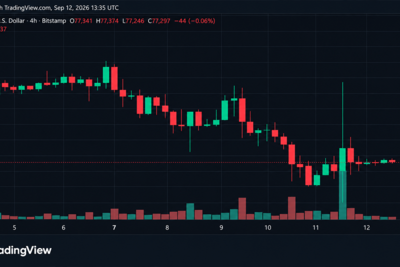 Bitcoin Price Takes a $3,215 Ride Just to Land Back at $77K