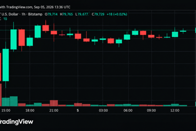 Bitcoin Price Teeters Near $80K as Momentum Starts to Crack