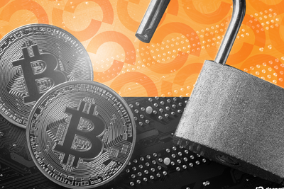 Bitcoin Privacy Wallet Sparrow Issues Update After AI Flags Fixes