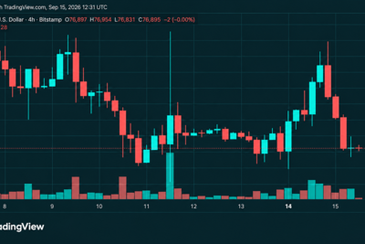 Bitcoin’s Price Is Sitting on Support After a Brutal $79K Rejection