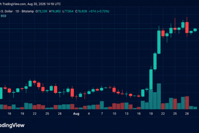 Bulls Reload for Another Assault on $81K as Bitcoin’s Price Rises