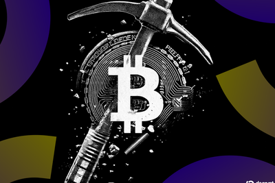 Can a Fruit Fly Brain Mine Bitcoin? These Companies Are Testing It