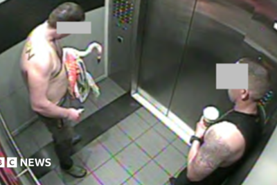 Canadian tourist found guilty of animal cruelty after stealing Las Vegas flamingo from enclosure