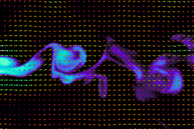 Decoding smell: Study reveals how odor signals shapeshift in the wind
