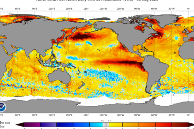 El Niño is now stronger than at any point in the last 1,000 years, study finds