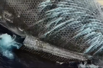 Experts warn current Starship heat shield tech is a 