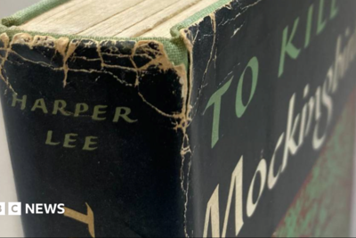 Harper Lee first edition novel found in Oxfam shop
