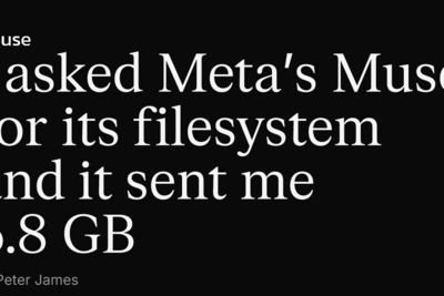 How Meta's Muse works, revealed by the 6.8 GB filesystem it sent me