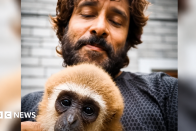 Indian actor's video with endangered gibbon sparks investigation