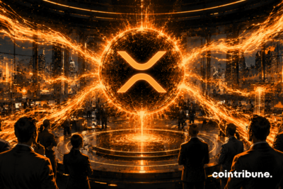 Institutional Investors Keep Accumulating XRP Despite Stagnation