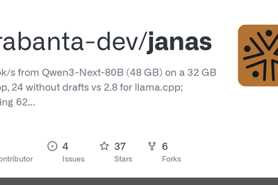 Janas: Run LLMs larger than RAM by streaming experts from SSD
