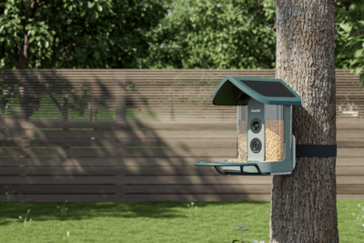 Kiwibit’s AI-powered bird feeder is my new backyard buddy