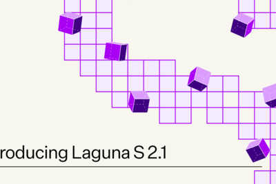 Laguna S 2.1