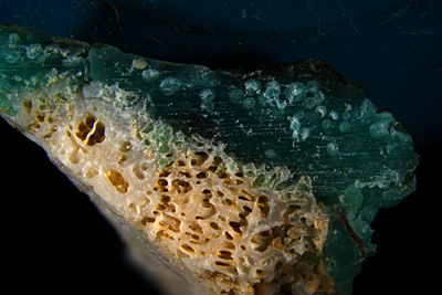 New plastic pollution discovered: 'Plasticorals' coral rubble fused with plastic