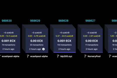Paul Sztorc’s Bitcoin Fork ECX Rips Past 25,000 Blocks in Just 13 Hours