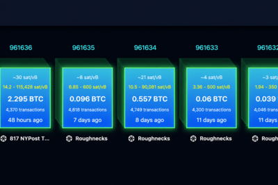 Replay Attack Alarm Grows as BIP-110 Backers Brand Bitcoin ‘Spamcoin’