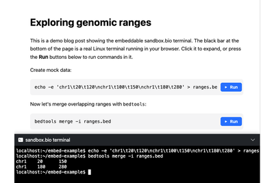 Show HN: Embed a real Linux terminal on your website