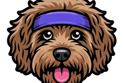 Show HN: Hamilton – a no-internet Android health dashboard, named after my dog