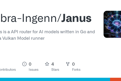 Show HN: Janus – Go binary that runs GGUF models via Vulkan on AMD/Intel/Nvidia