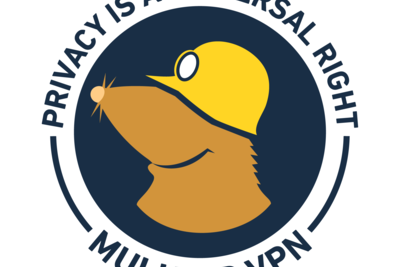 Shutting down our public encrypted DNS