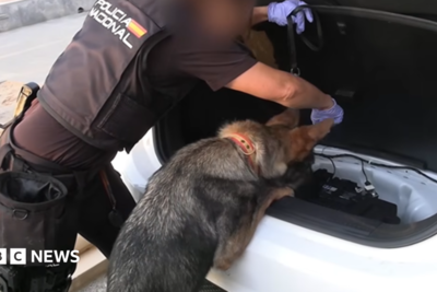 Spanish police arrest 78 people in bust of 'one of largest' smuggling networks