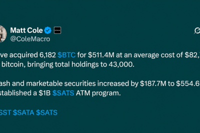 Strive Scoops up 6,182 Bitcoin Pushing Stash Total to 43,000 BTC