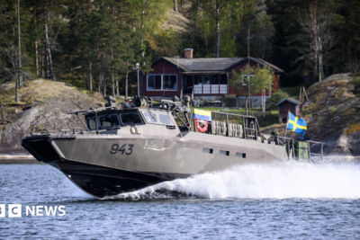 Swedish military seeks to take over Russian-owned estate near naval base