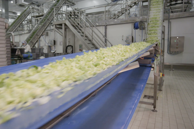 Taylor Farms: How One Company's Reach Became a National Risk