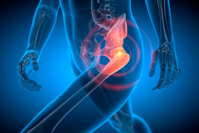 The Wonders of the Male Human Pelvis