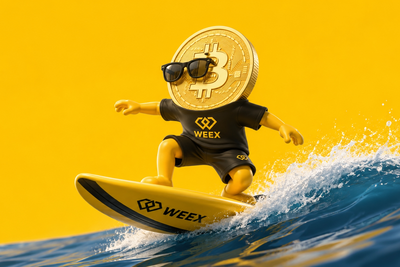 WEEX Crypto Trading Experience 2026: 1,000 BTC Protection Fund Meets All-Market Access