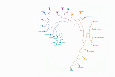 What's the largest software project AI can complete on its own?