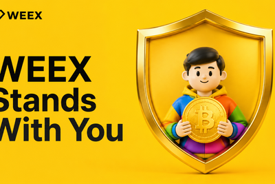 When Security Is Tested, True Responsibility Matters: Why WEEX Puts Users First