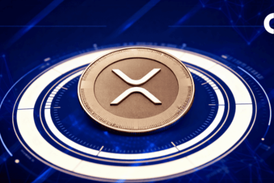 XRP’s Biggest Holders Hit 8-Year Peak as Price Tests $1.50